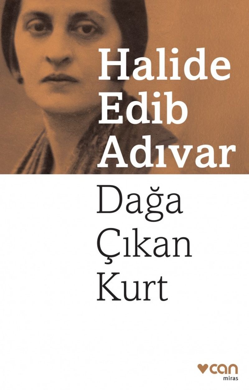 Dağa Çıkan Kurt