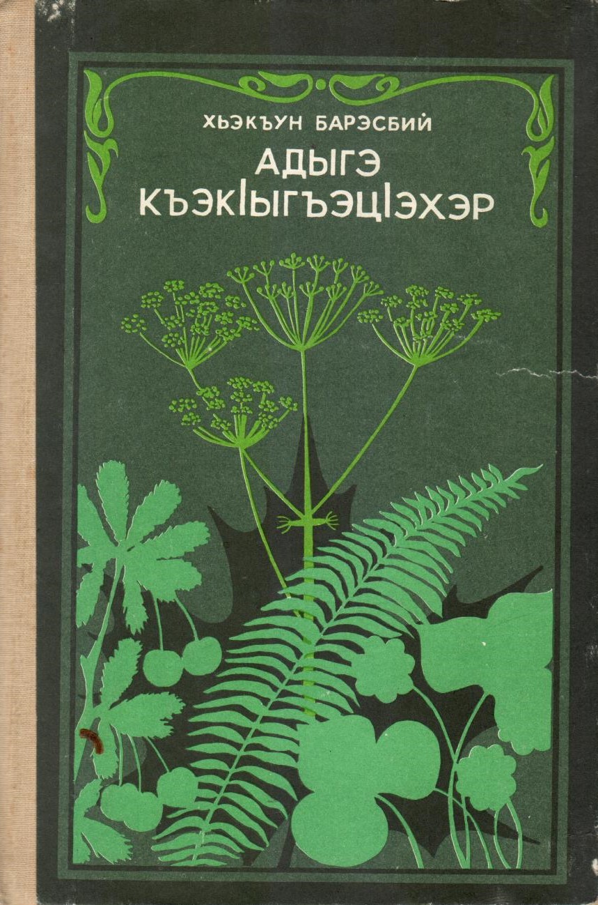 Адыгэ къэкІыгъэцІэхэр