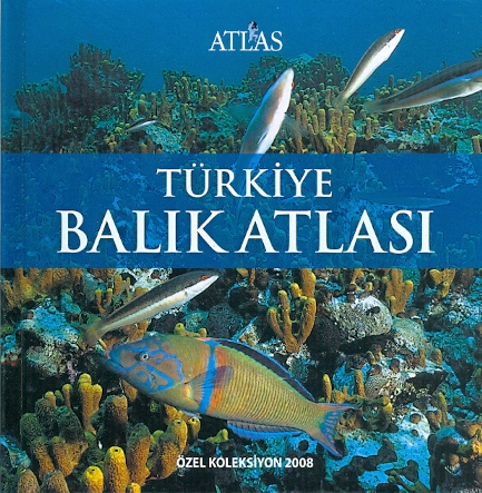 Atlas Harita Türkiye Balık Atlası