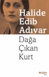 Dağa Çıkan Kurt